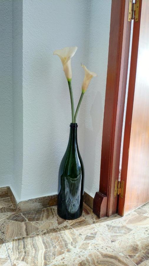 Perfect Apartment Near The Beach Alicante Bagian luar foto